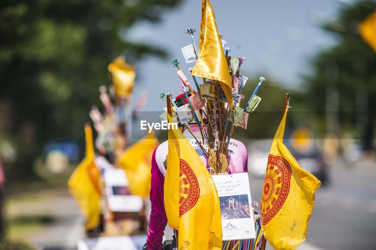 Rear view of man with flags and decoration in city