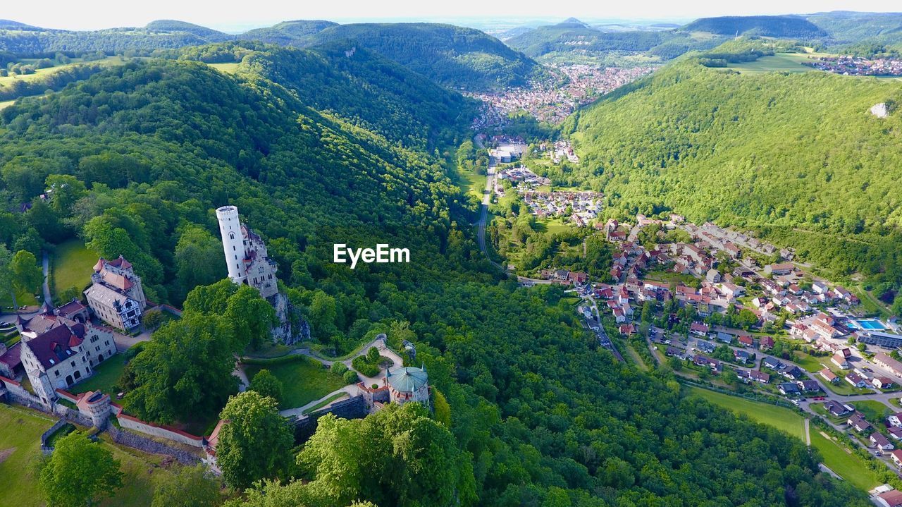 High angle view of trees and buildings in city