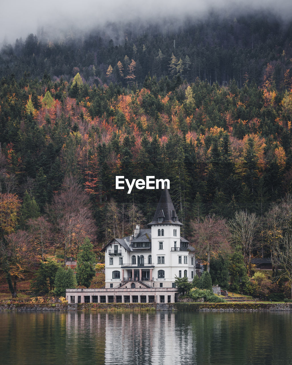 Plants and trees by lake against buildings