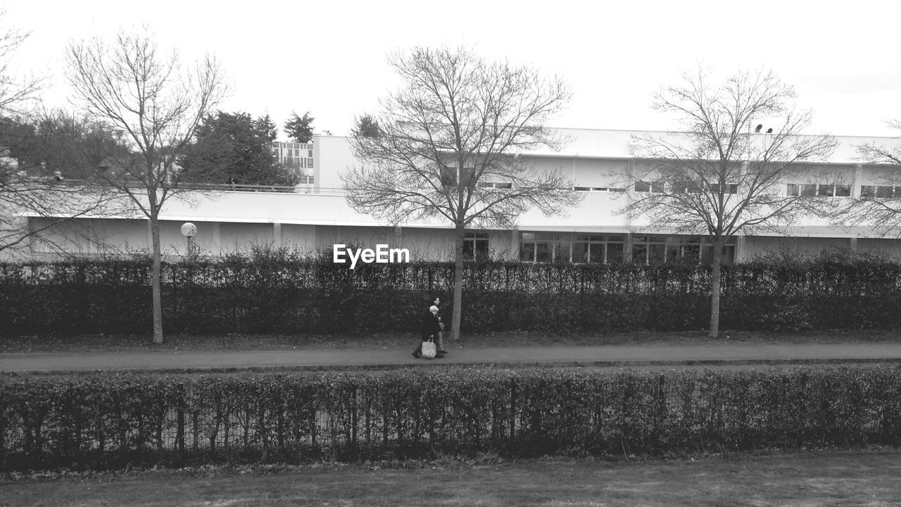 TREES AGAINST BUILDING