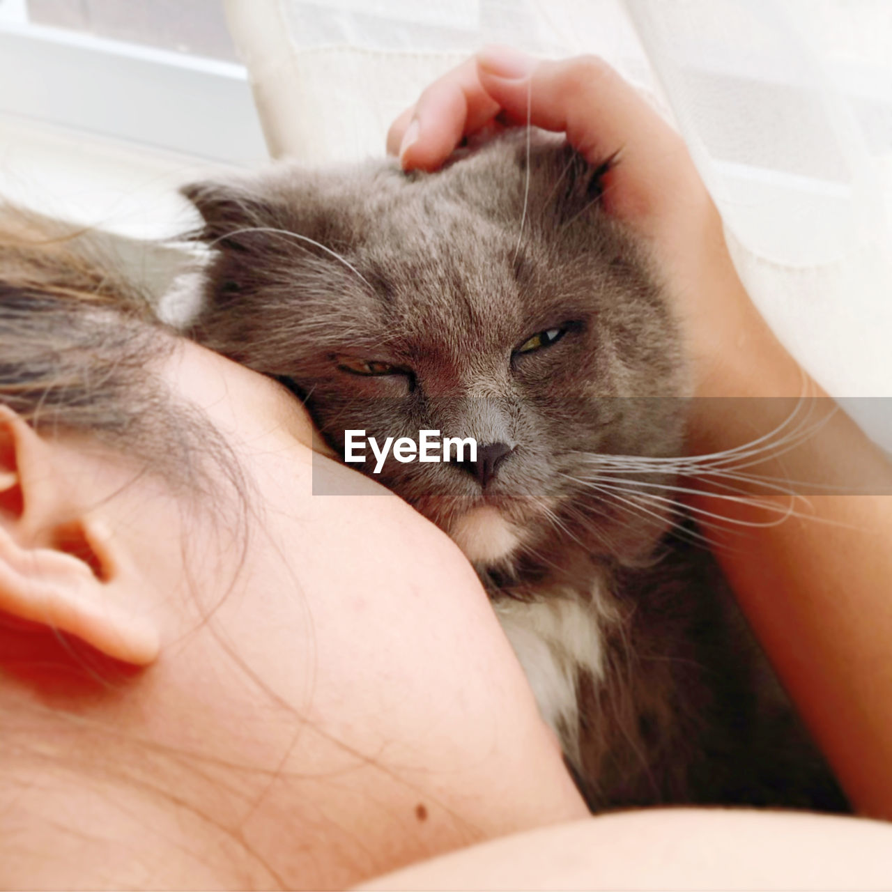 CLOSE-UP OF HAND HOLDING CAT WITH EYES