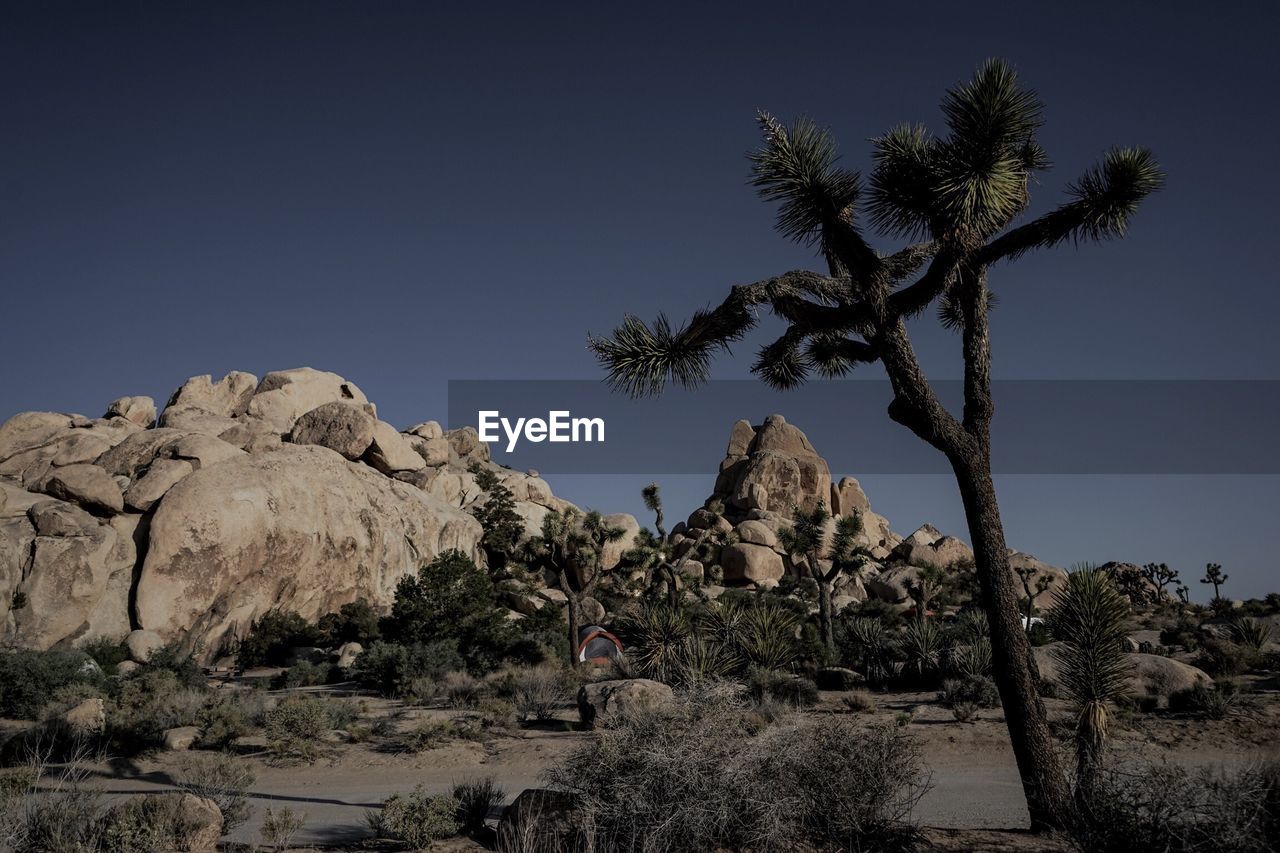 Scenic view of landscape against clear sky