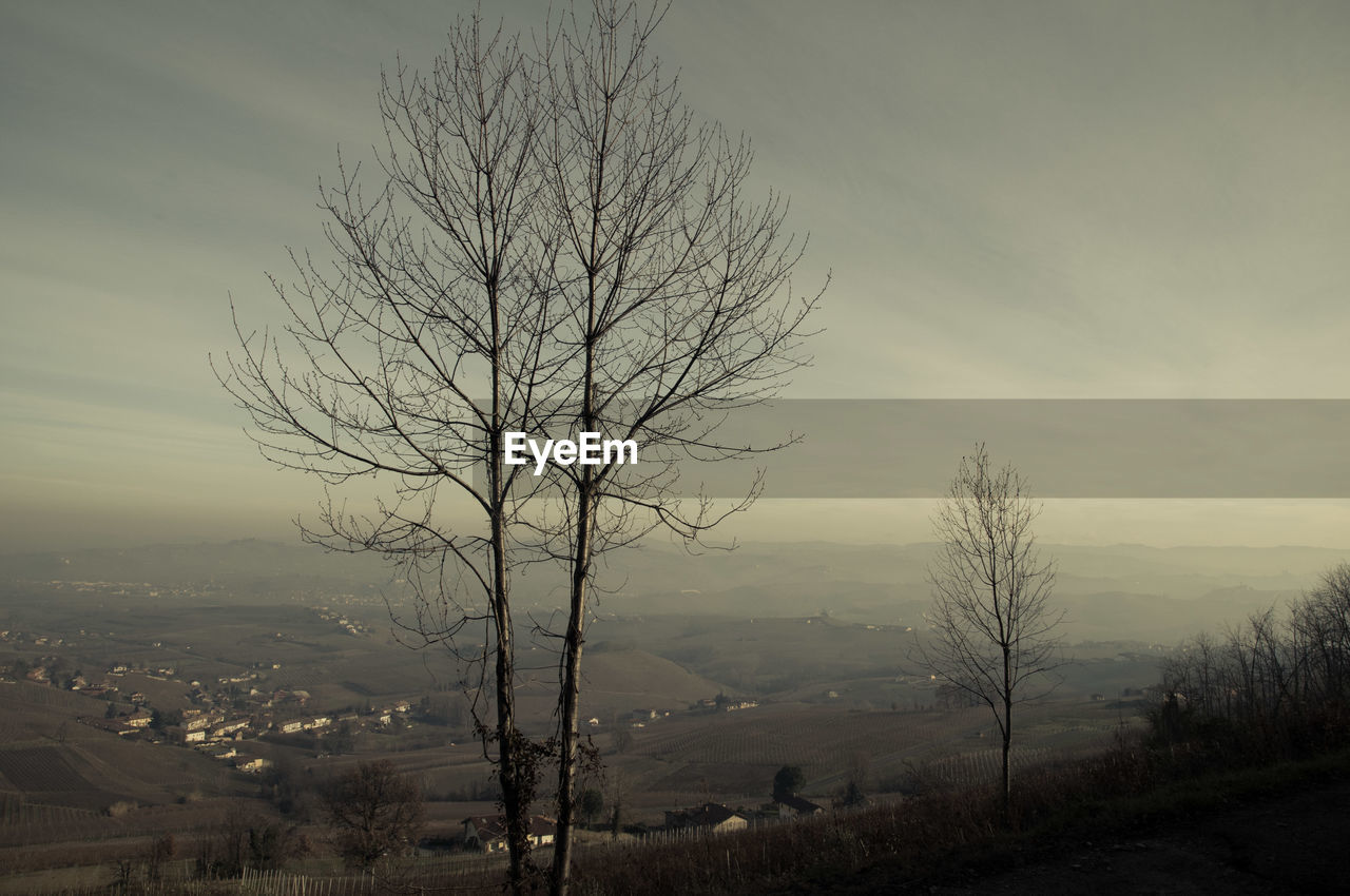 BARE TREES ON LANDSCAPE AGAINST THE SKY