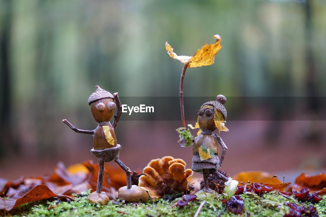 Close-up of figurine made from acorns and mushroom