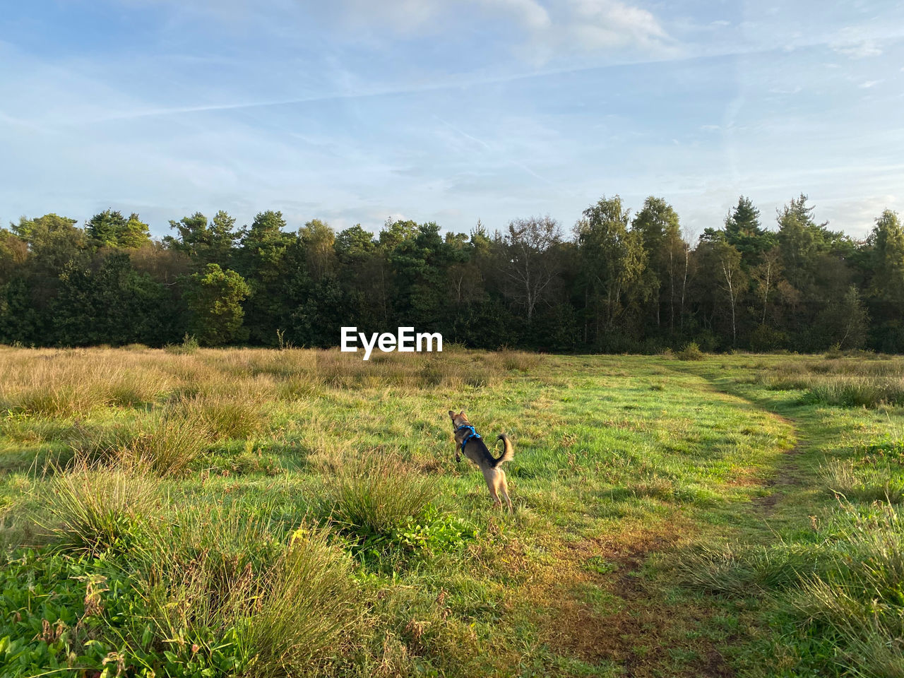 side view of man standing on grassy field against sky