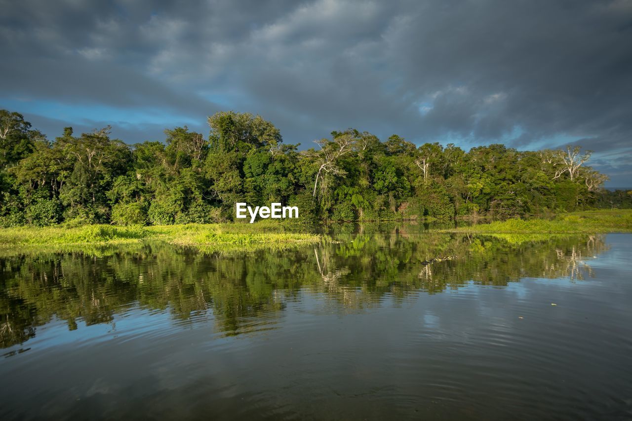 Scenic view of lake in forest against sky