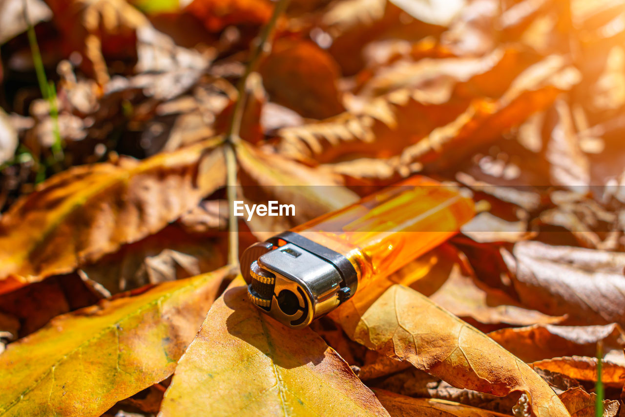 Orange colored gas pocket lighter thrown on fall foliage