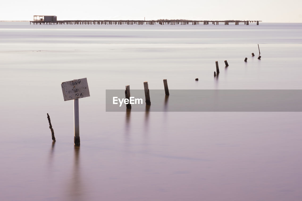 water, nature, reflection, tranquility, horizon, sea, sky, wooden post, beauty in nature, tranquil scene, scenics - nature, morning, no people, shore, post, beach, day, land, bird, outdoors, wood, ocean, horizon over water, animal, animal themes, animal wildlife, environment, wave, non-urban scene, copy space