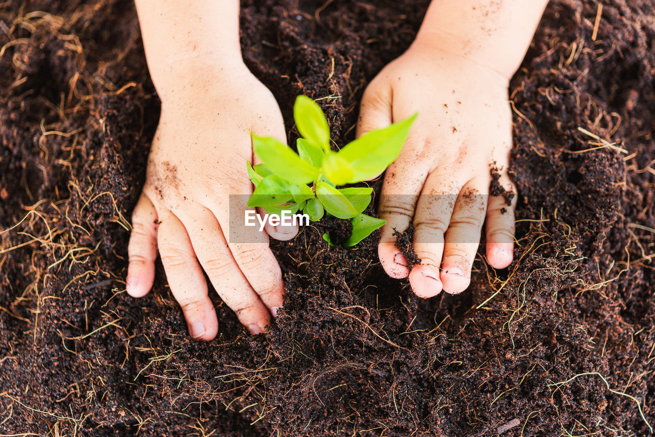 Close-up of girl planting plant in soil