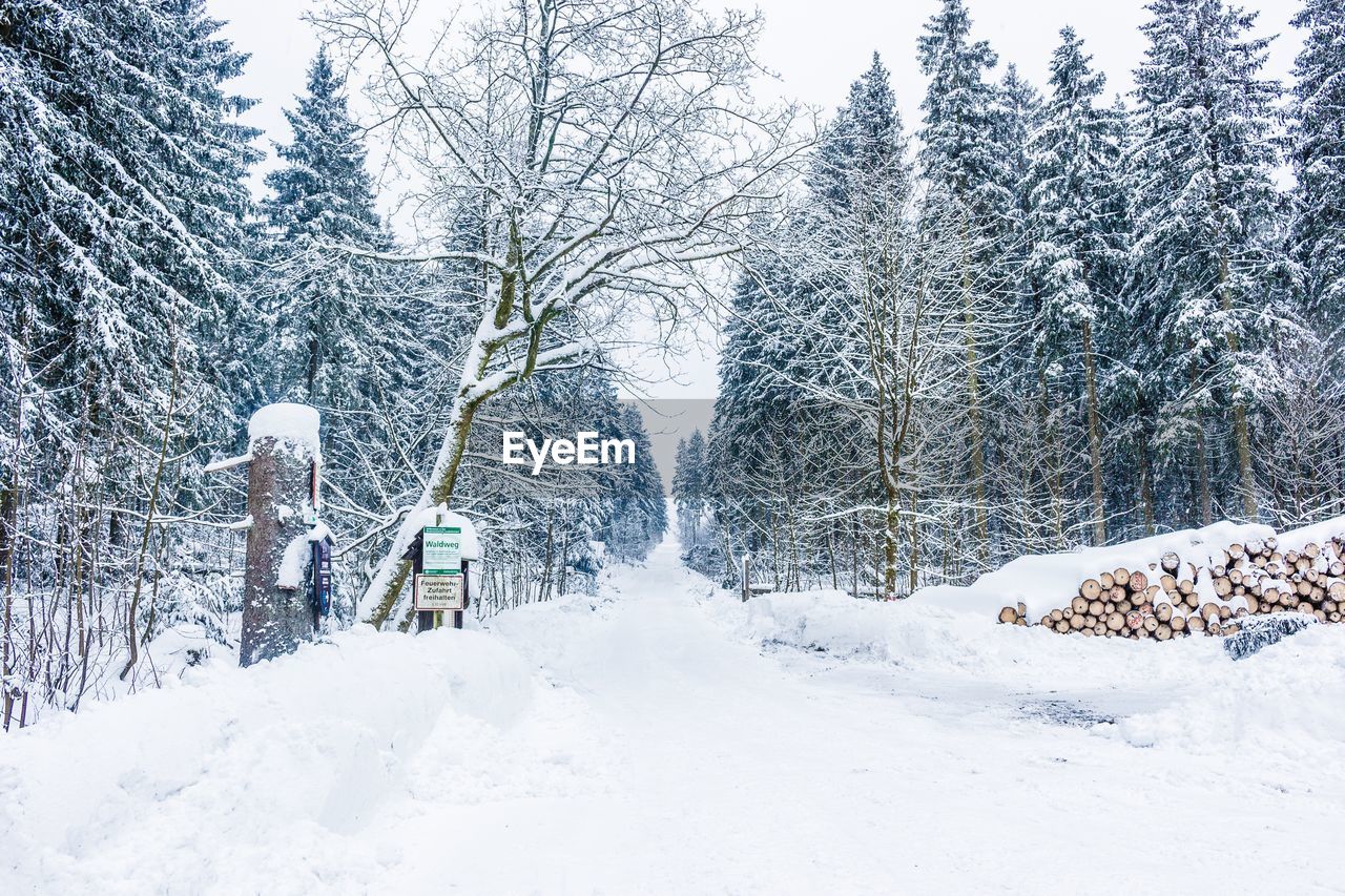 Snow covered trees against sky