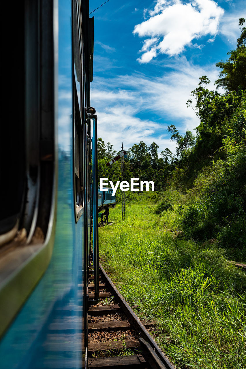 Train on railroad track in forest