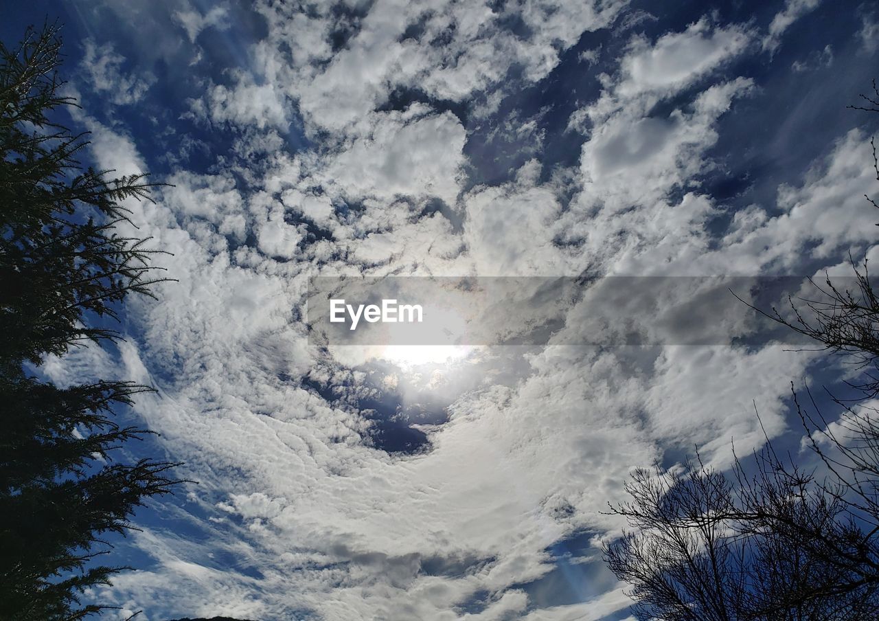 LOW ANGLE VIEW OF CLOUDS IN SKY