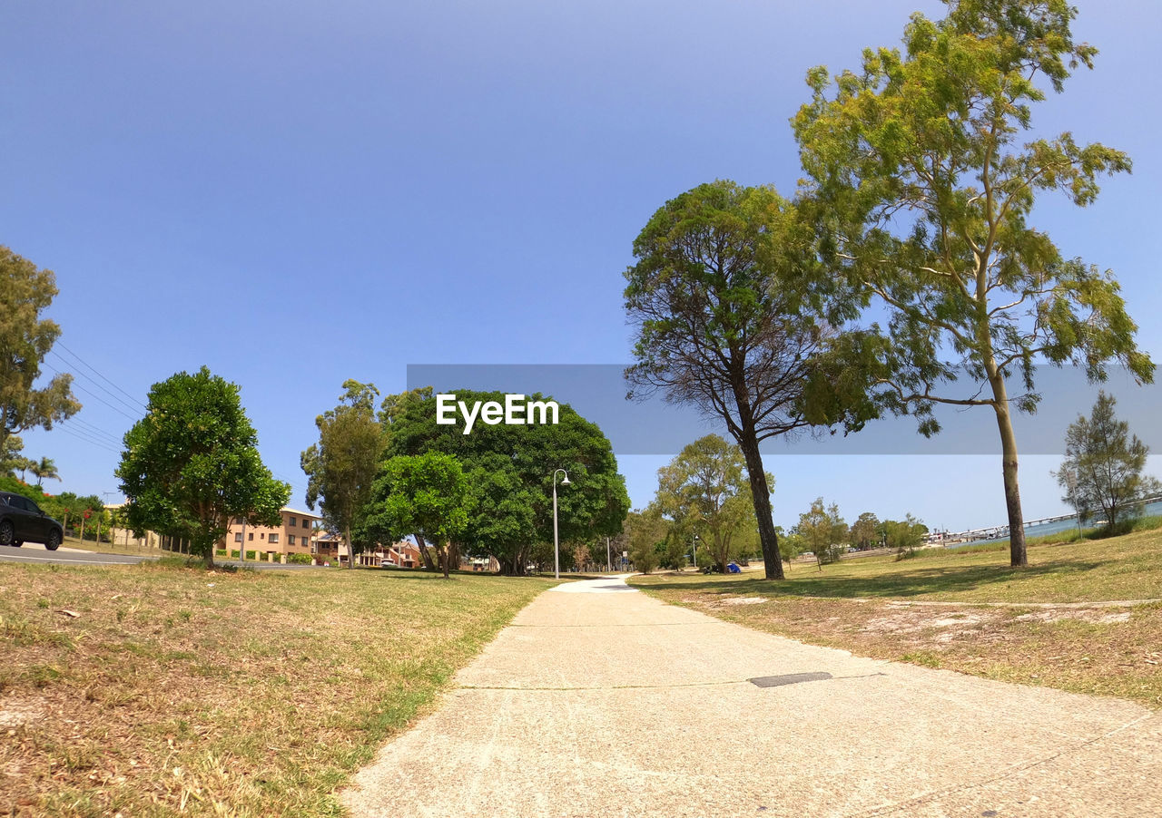 ROAD AMIDST TREES ON FIELD AGAINST CLEAR SKY