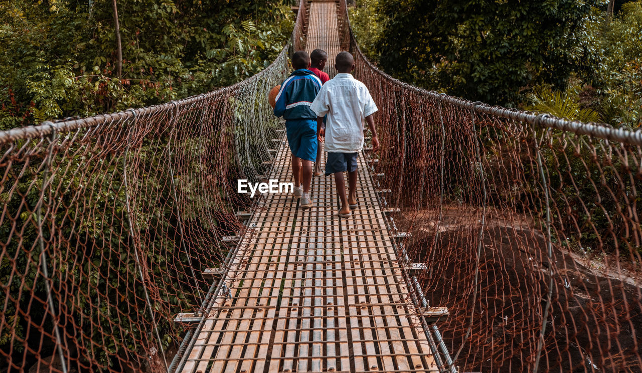 rear view, plant, men, rope bridge, bridge, tree, full length, walking, nature, the way forward, canopy walkway, architecture, leisure activity, two people, day, built structure, lifestyles, footbridge, casual clothing, suspension bridge, adult, outdoors, women, togetherness, track, forest, land, travel, rope, person, tourism, railing, travel destinations, standing, growth