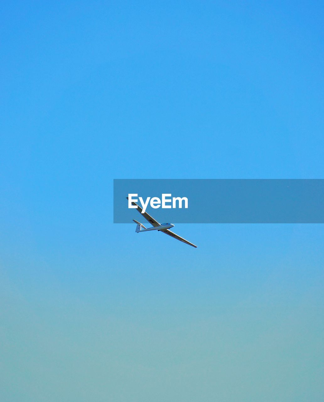 LOW ANGLE VIEW OF A BIRD FLYING IN SKY