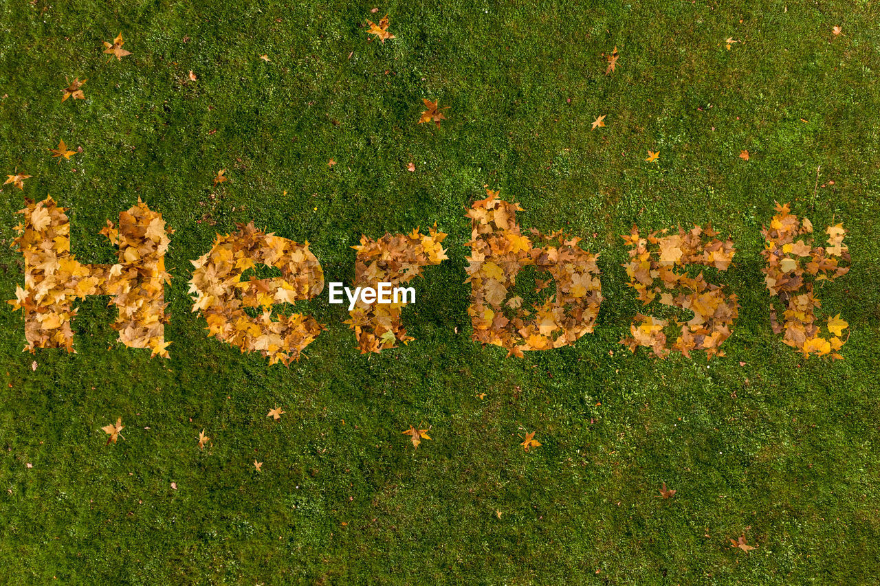 HIGH ANGLE VIEW OF TEXT ON GRASSY FIELD BY STREET