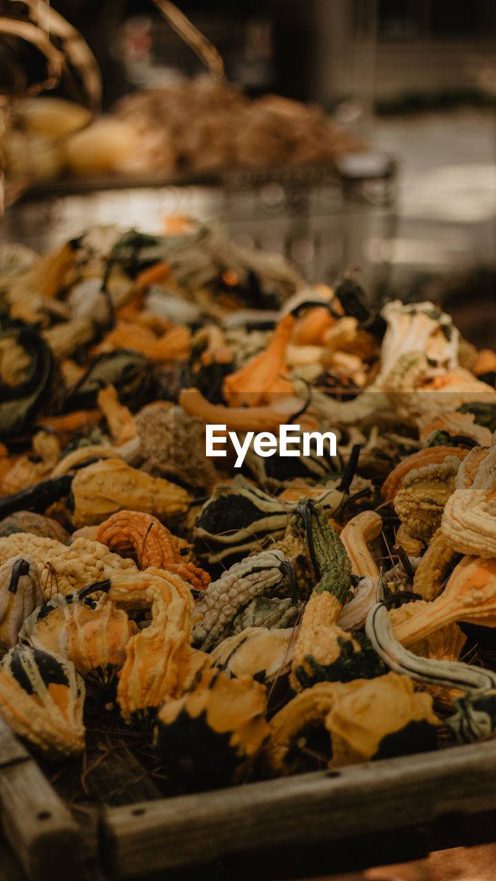 Close-up of pumpkins for sale in market