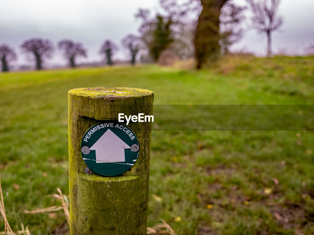 Close-up of wooden post on field