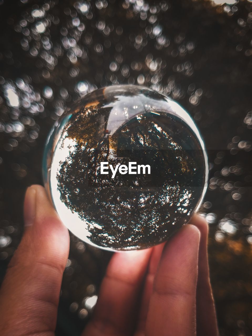 Cropped hand of person holding crystal ball against trees