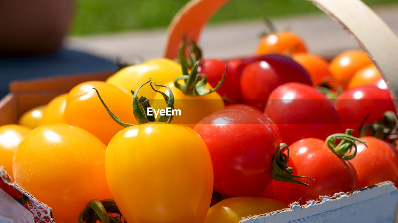 food, food and drink, vegetable, tomato, healthy eating, plant, wellbeing, fruit, freshness, produce, red, no people, yellow, nature, close-up, large group of objects, multi colored, container, ripe, organic