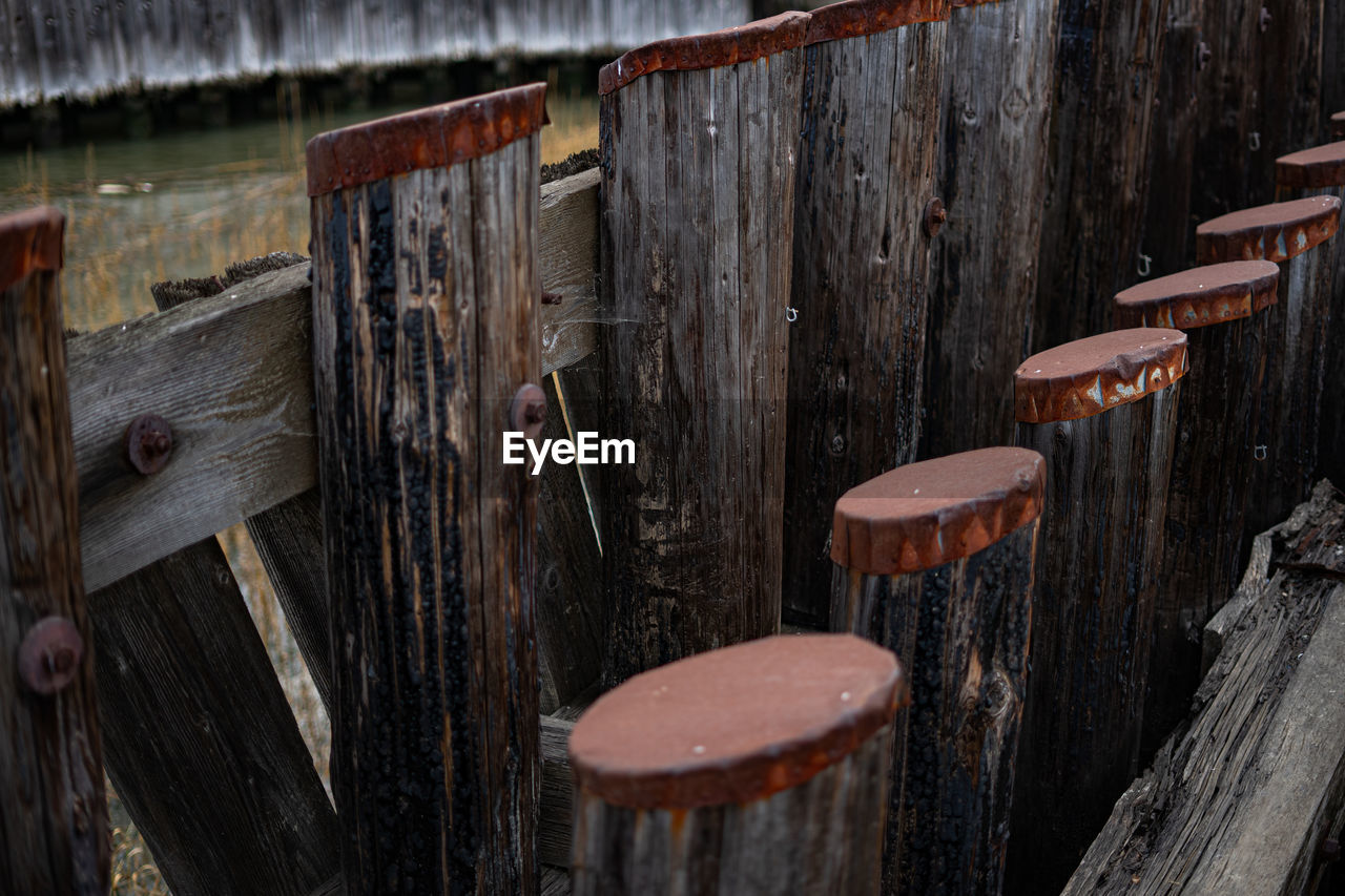 CLOSE-UP OF WOODEN FENCE BY TREE