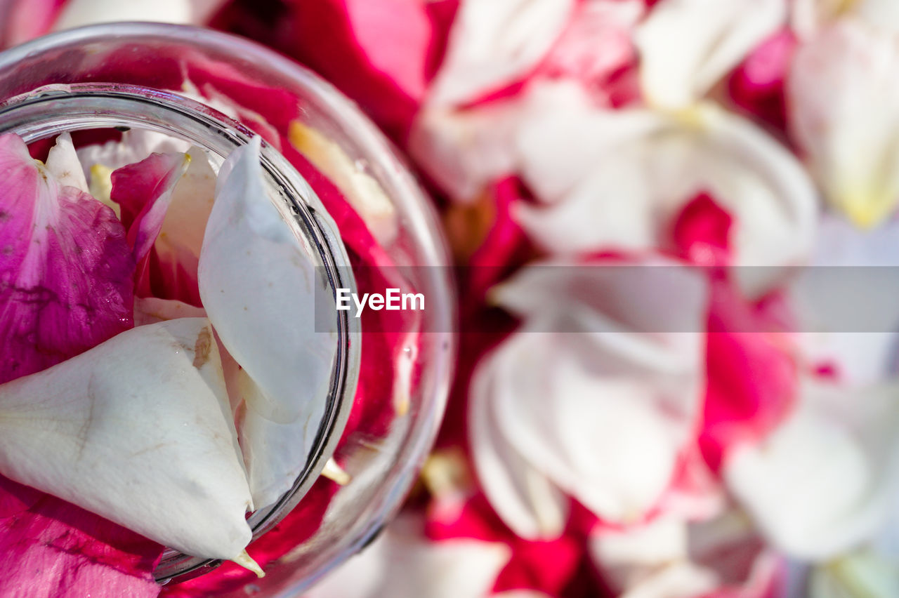 Directly above shot of jar filled with rose petals