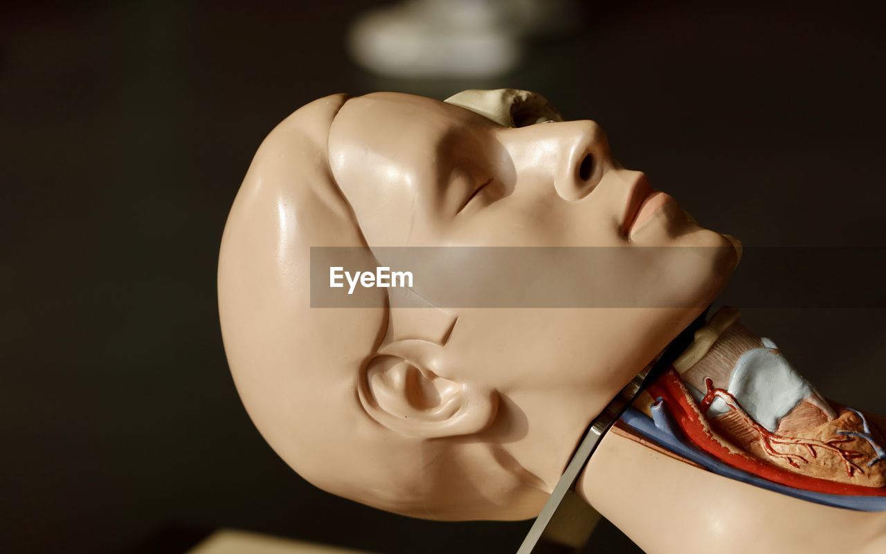 High angle view of mannequin against black background