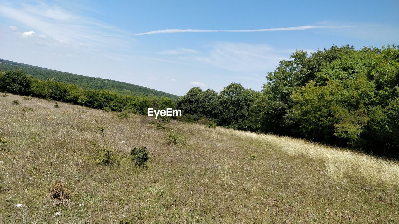 SCENIC VIEW OF LAND AGAINST SKY