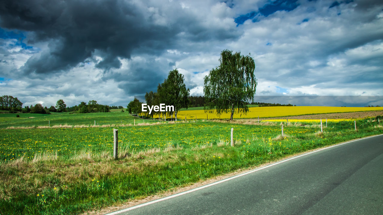 SCENIC VIEW OF LAND AGAINST SKY