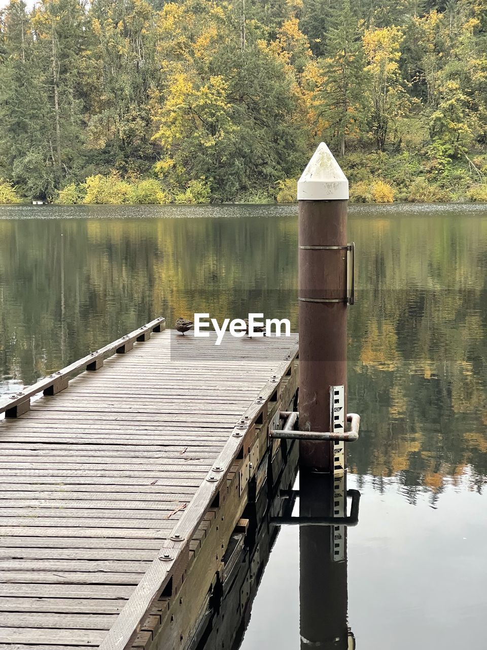 PIER OVER LAKE