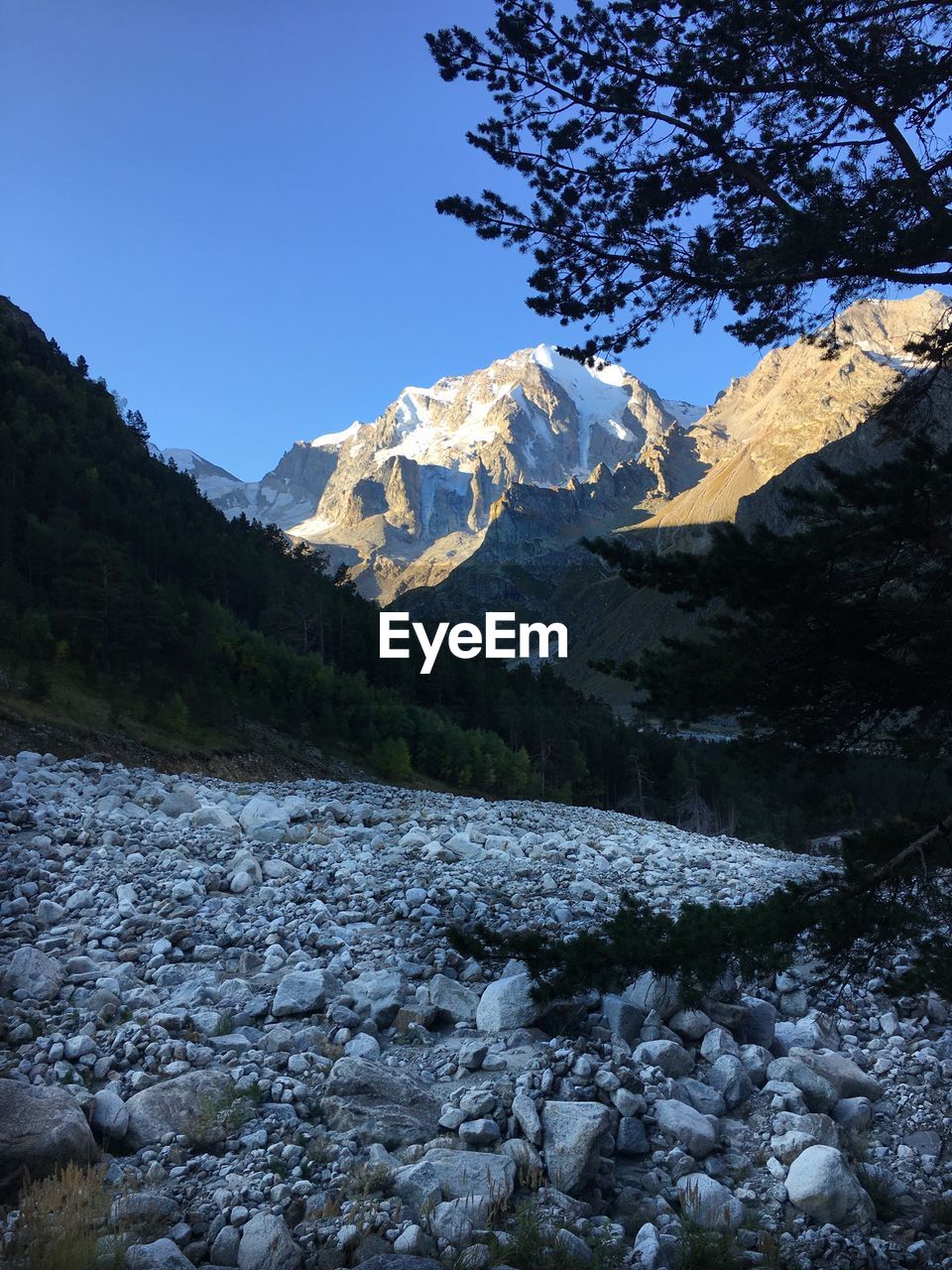 SCENIC VIEW OF SNOWCAPPED MOUNTAINS