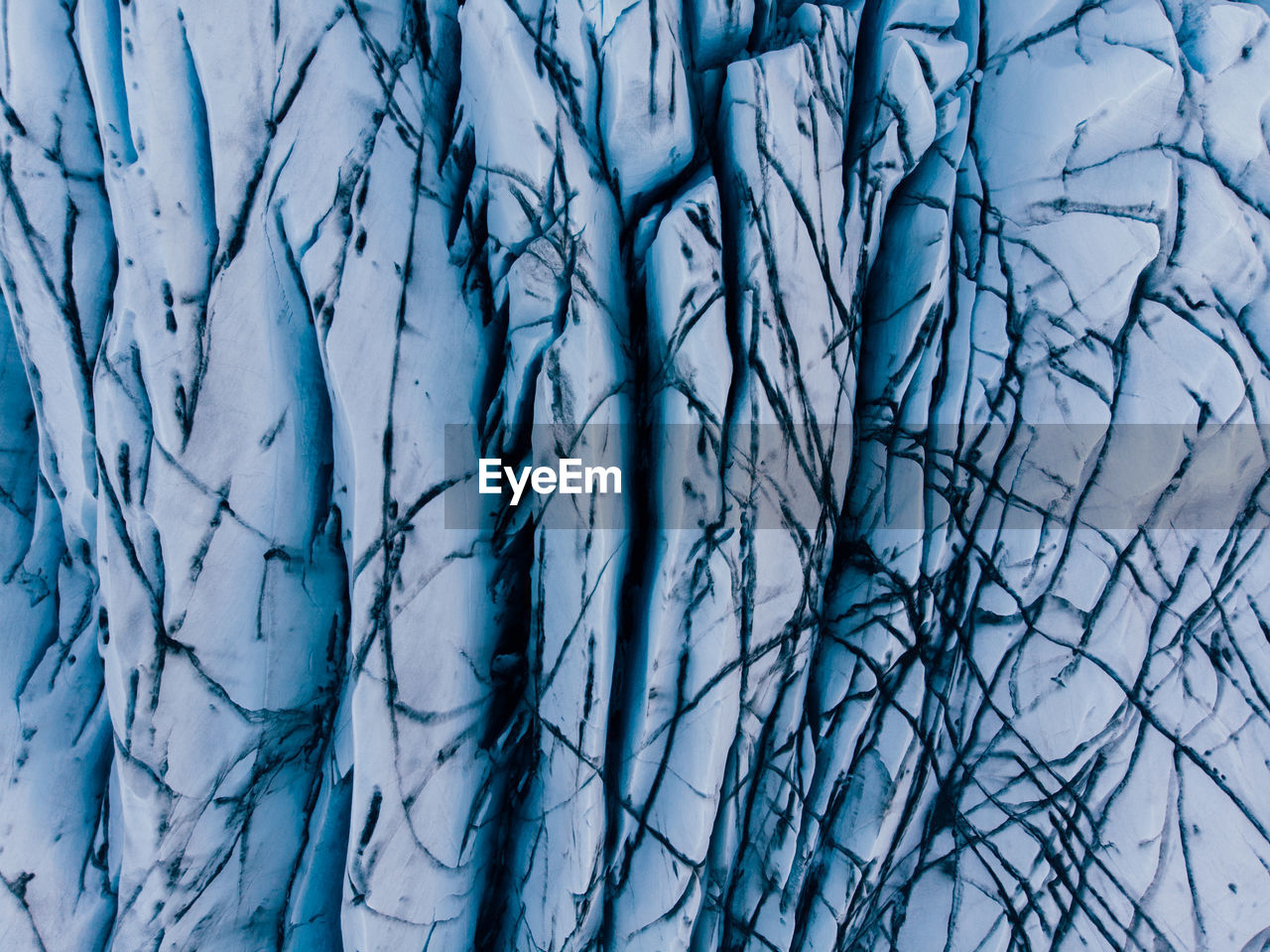 Full frame shot of bare trees during winter