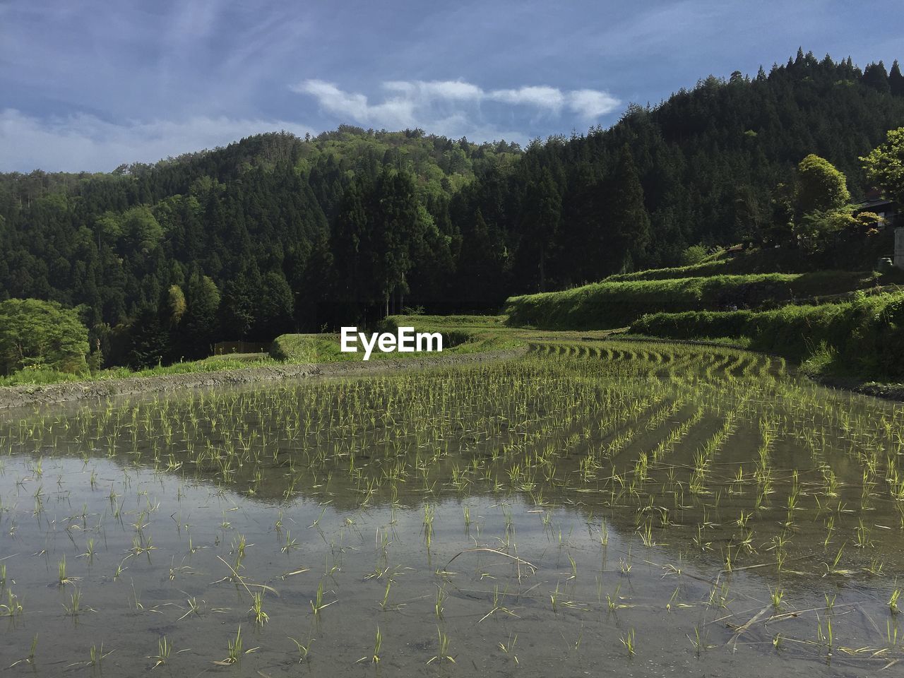 Tranquil view of agricultural land