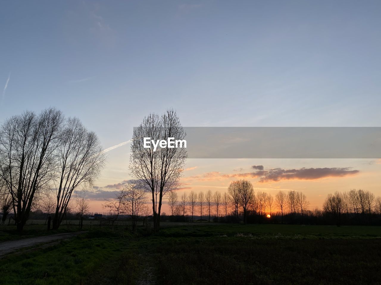 TREES ON FIELD AGAINST SKY AT SUNSET