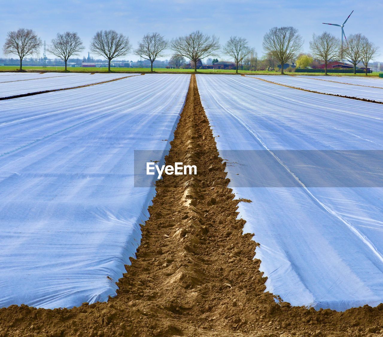 VIEW OF EMPTY ROAD AMIDST FIELD