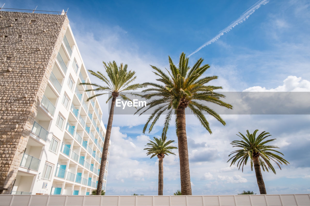 LOW ANGLE VIEW OF PALM TREE BY BUILDING AGAINST SKY