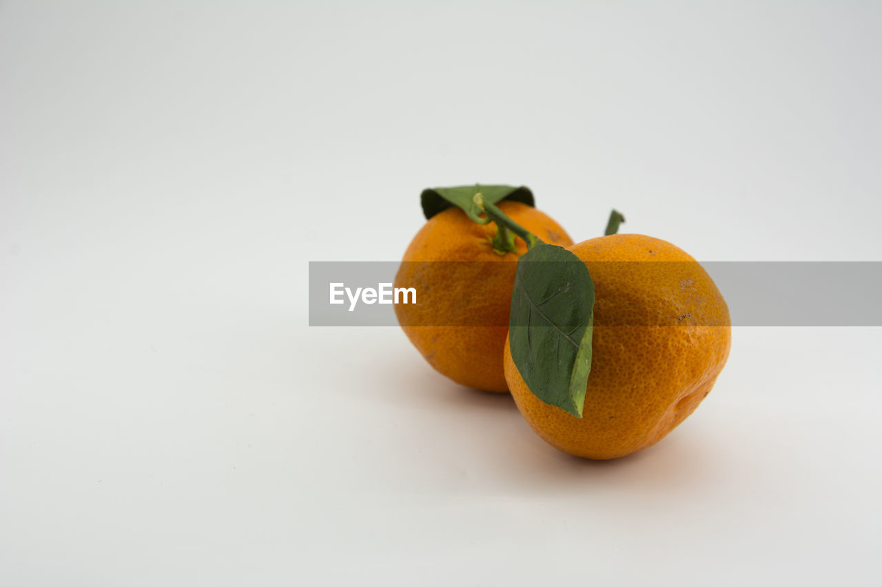 Close-up of orange fruit against white background