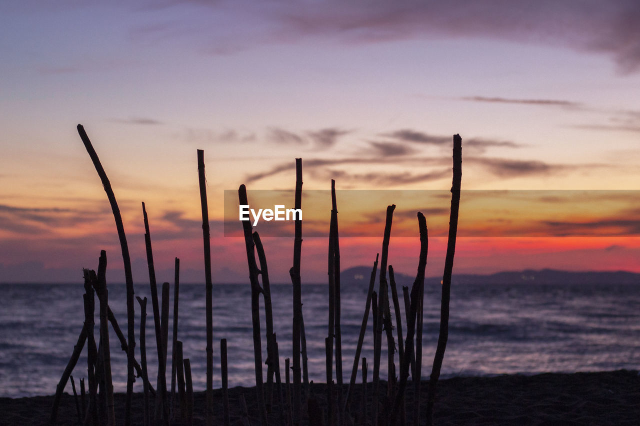 Silhouette wooden posts on beach against sky during sunset