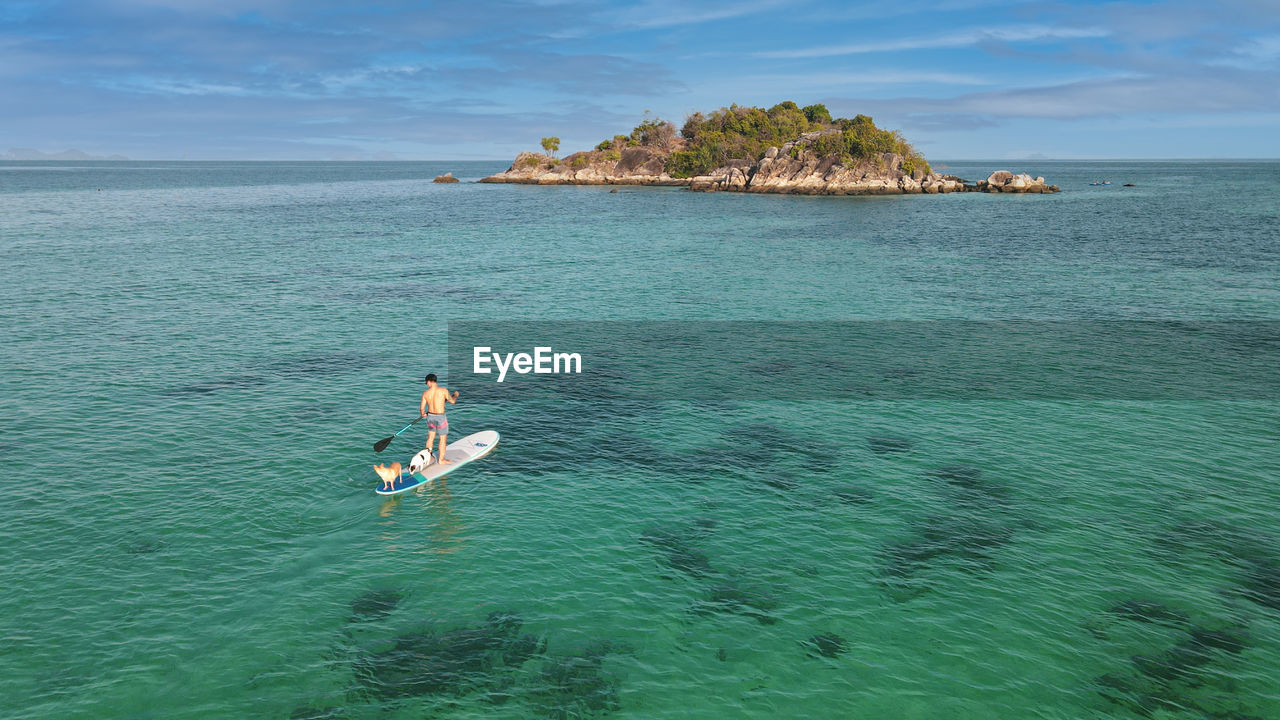 High angle view of man paddleboarding with dog in sea