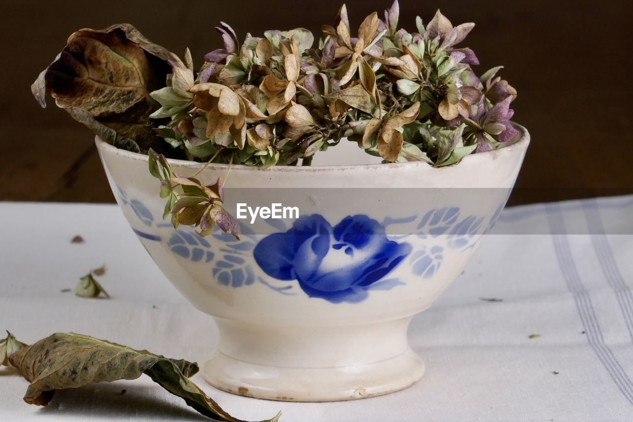 CLOSE-UP OF POTTED PLANT IN VASE