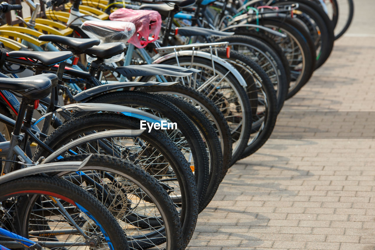 A row of many bicycles at public outdoor bicycle parking under summer daylight.