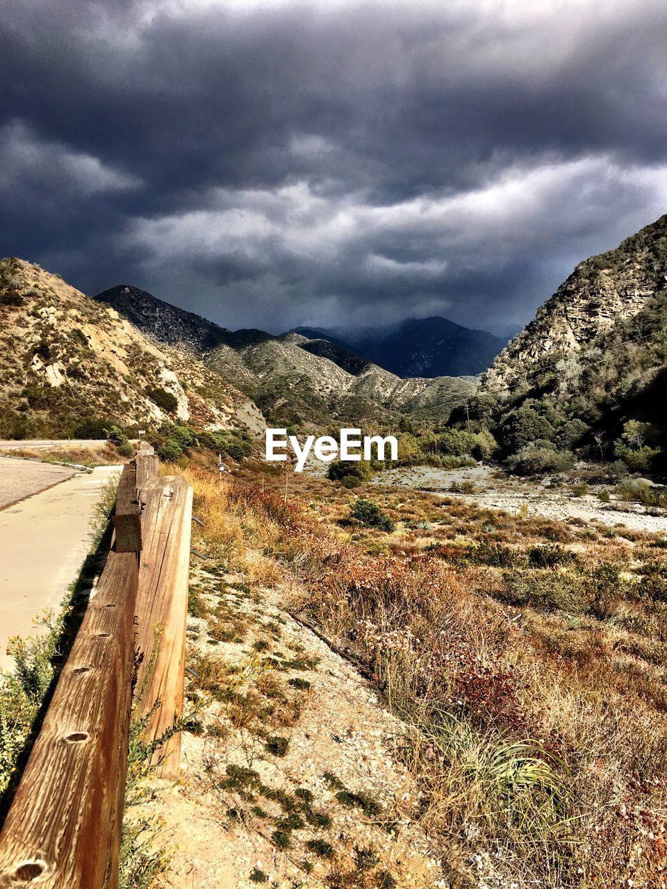 Trees growing by mountains against cloudy sky