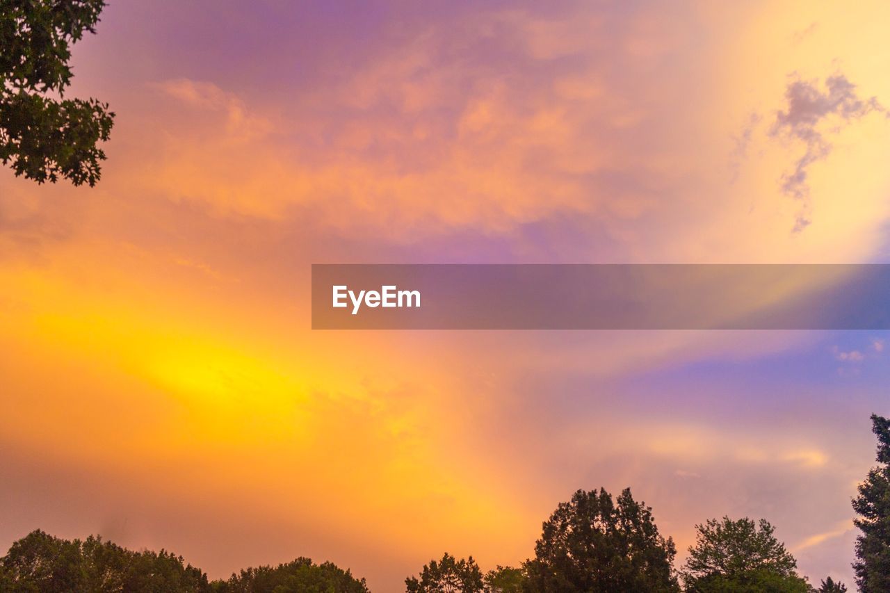 LOW ANGLE VIEW OF ORANGE SKY