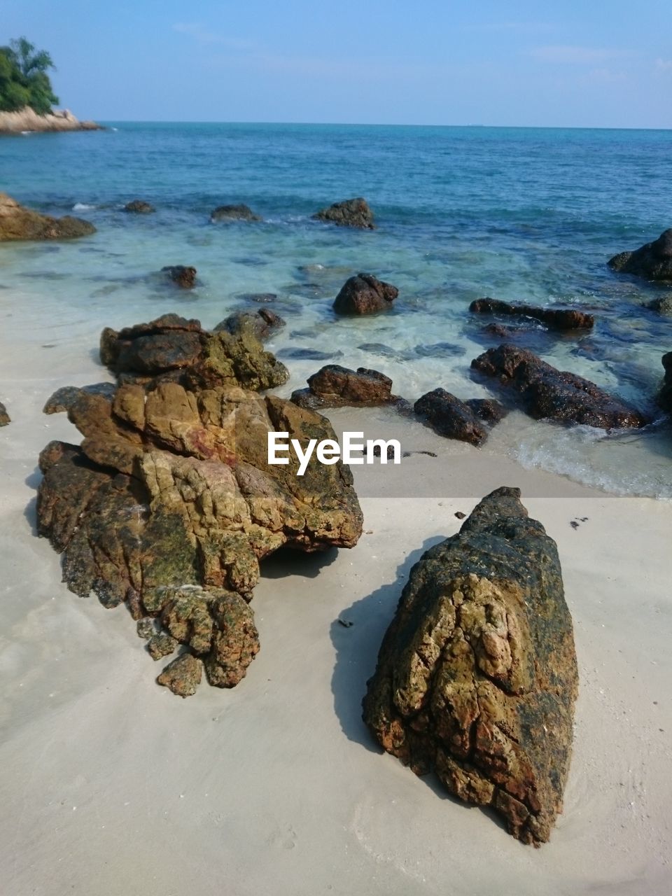 Scenic shot of rocks on beach