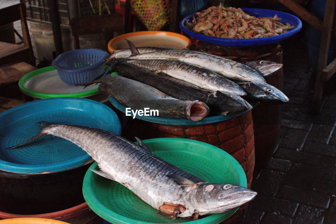 Close-up of fish