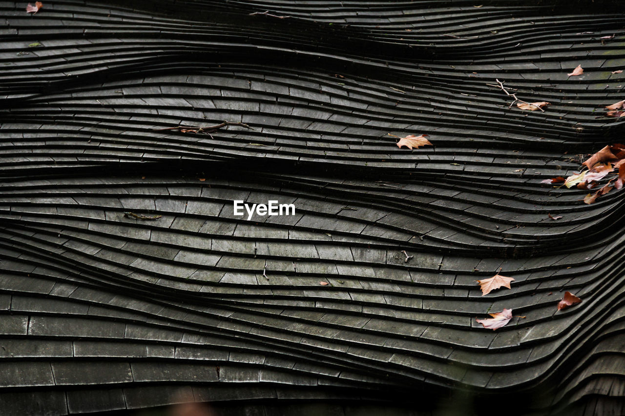 Fallen leaves on roof of hobbit house