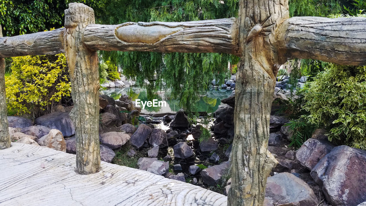 CLOSE-UP OF TREE TRUNKS IN FOREST