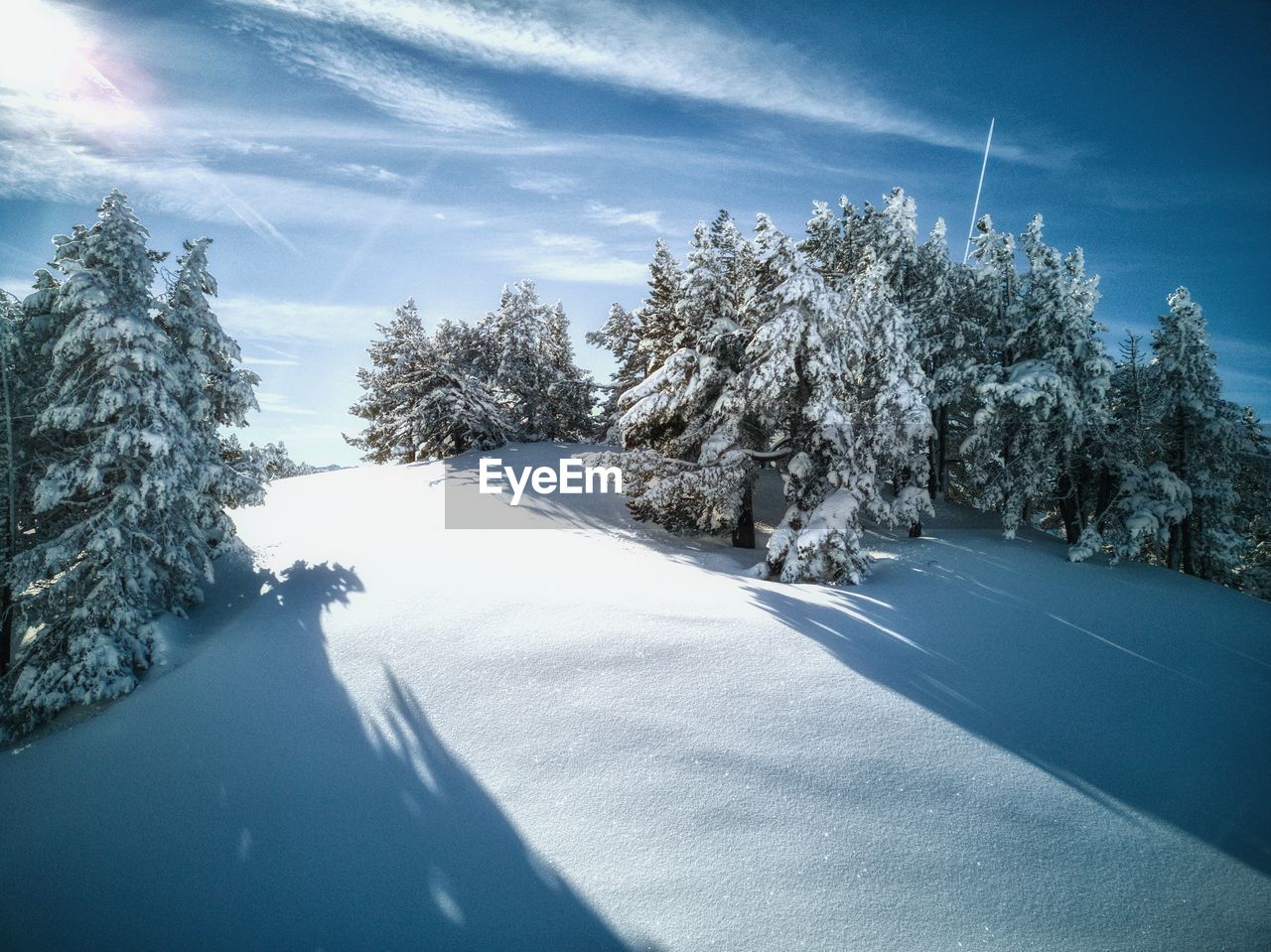 Snow covered road amidst trees against sky