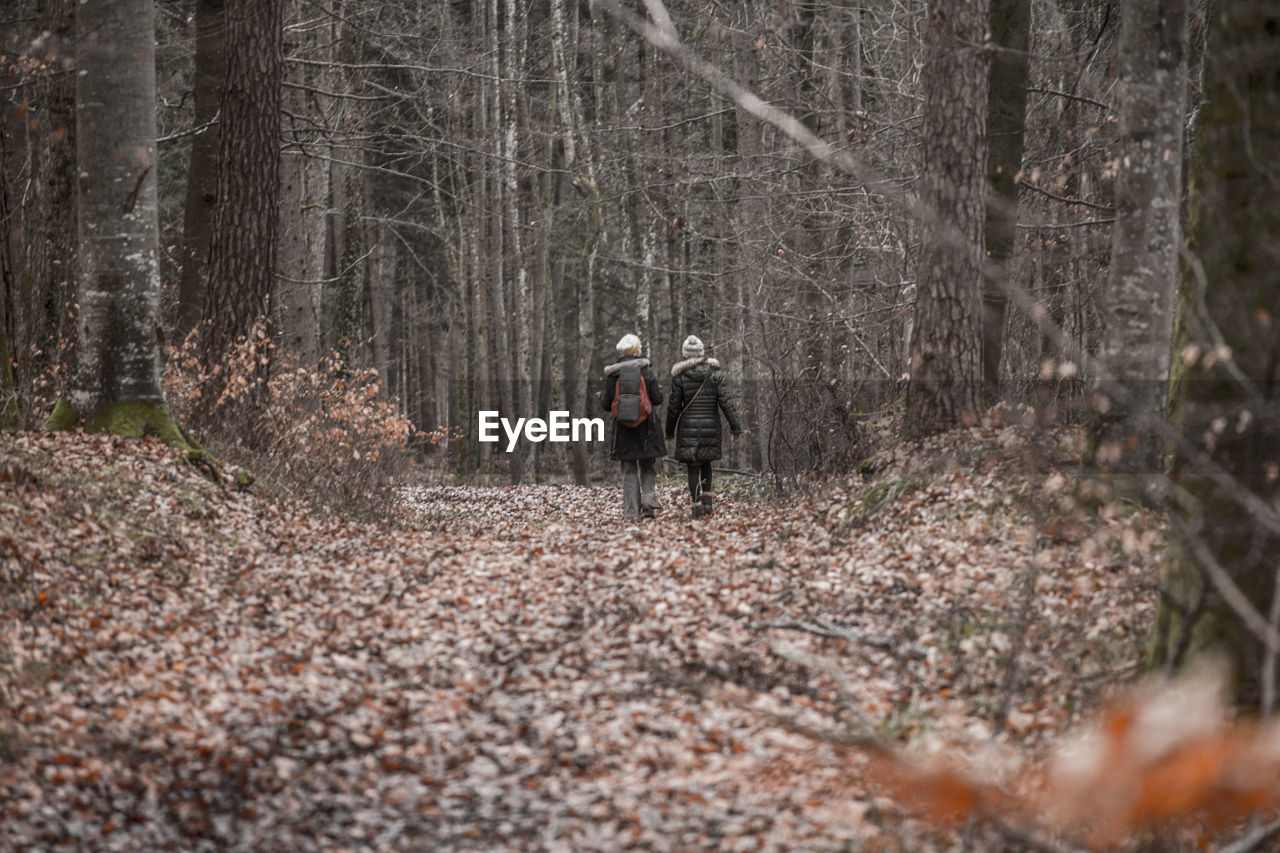 Rear view of people walking in forest