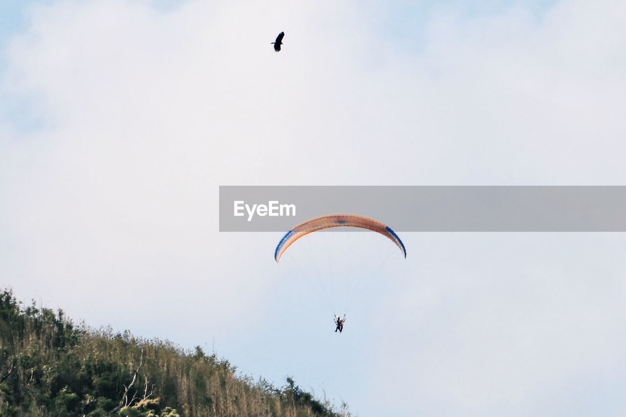 Low angle view of person paragliding against sky